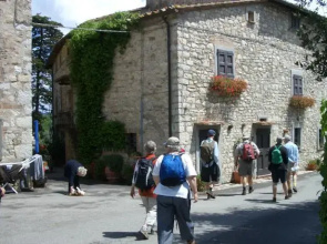 Il Bacchino In Chianti