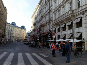 Goldfisch Apartment Vienna Opera House