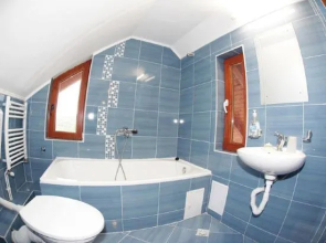 Casa dintre Vii