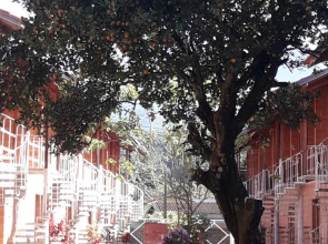 Apartamento em Ubatuba Ville II