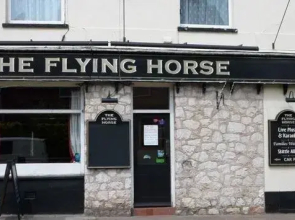 Flying Horse