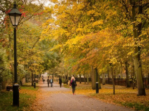 Holiday Inn Express London - Stratford by IHG