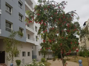 Appartement Haut Standing dans une résidence Calme