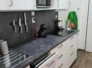Světlý prostorný byt v Karlíně
