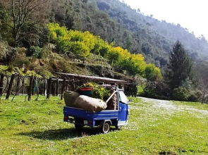 Agricamping Ponteraggio n.1