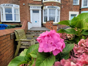 Sea Side Flat 5 with Fast Wifi And Free Parking