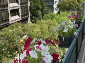 Flower Court - Guest House