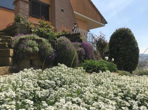 La Mammola Bed&Breakfast