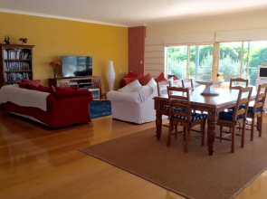 Novak's Place