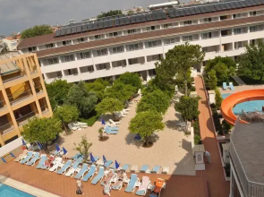 Catty Cats Garden Hotel