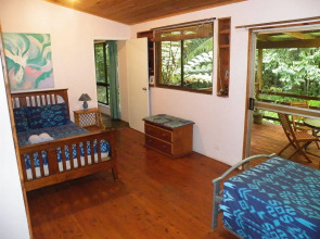 The Epiphyte Bed & Breakfast
