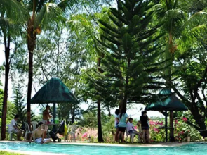 Zoobic Lodge @ Tiara