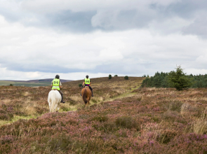 Duchy House Guest House