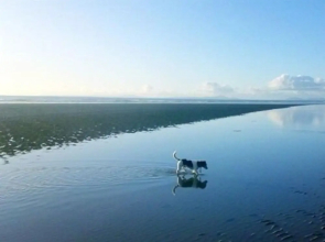 White Ocean