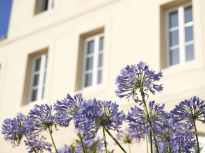 Best Western Premier Hotel des Vignes et des Anges
