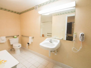 莱瑟姆戴斯套房酒店/北阿尔巴尼(Albany Airport Hotel)