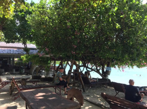 Big Fish Resort Koh Tao