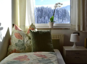 Ferienapartment Frahndl
