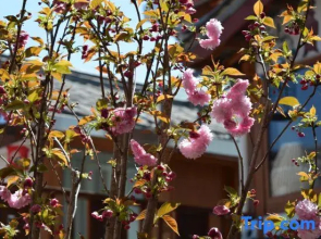 LiJiang Shiningland Resort Hotel（Lijiang Old Town）