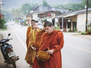 Blu Monkey Pooltara Krabi Hotel and Villas