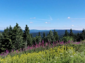 Ferienhotel Waldfrieden