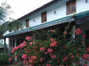 Stardust Beach Hotel