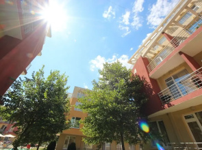 Sunny Day 5