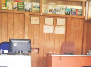 Hotel New Green View II