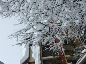 Purnima guest house Manali