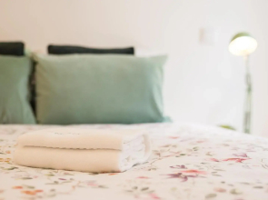 Guestready - Belas Artes Duplex