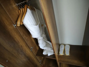 Отель ALTAI business hotel