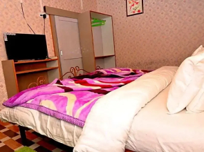 kasauli nature inn