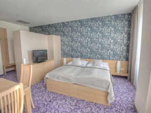 Hotel Vinice Hnanice