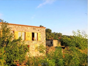 Unique Hotel Room Surrounded by Nature Close to Assos Ancient City in Ayvacik Canakkale