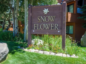 Snowflower 62