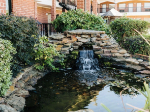 Winchester Inn & Suites Humble/IAH/North Houston