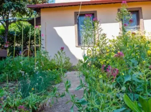 Little garden house