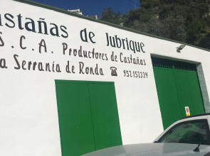 Júbrique