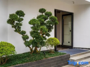 Guyue Suqing Homestay (Libo Ancient Town Branch)