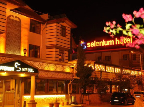 Selenium Hotel