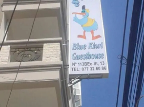 Blue Kiwi Guesthouse
