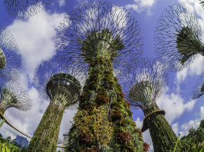 Grand Hyatt Singapore