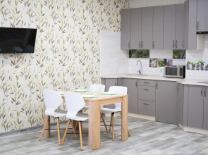 Apartments Malina (Апартментс Малина) на улице Ленина 17