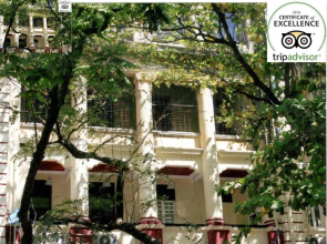 柳林旅馆(The Willow Inn)