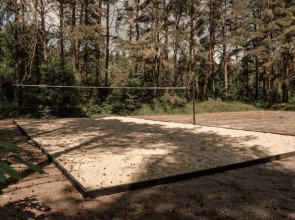 Вили Улей Ока