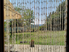 Il Canto Dell'asino