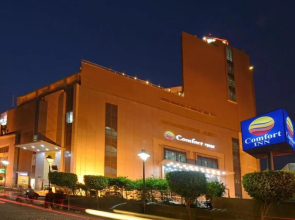 Comfort Inn Tulip Heights