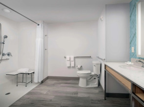 Hilton Garden Inn Orlando Downtown