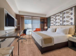 Holiday Inn Kayseri - Duvenonu, an IHG Hotel