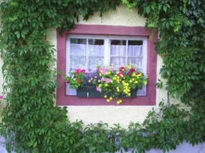 Pension Sonne